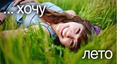 №41, Майя Шейна, Псков №41, Майя Шейна, Псков