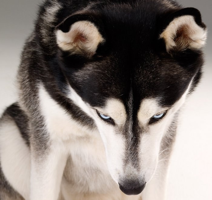 Олег Шевченко Юрійович | Калуш