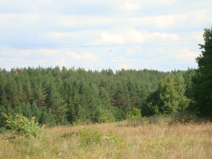 Дима Терентьев | Санкт-Петербург