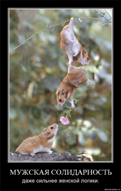 Svetlana Romanova | Люберцы