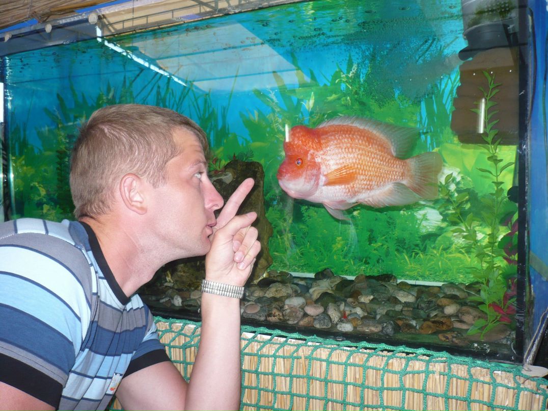 Алексей Помазов | Санкт-Петербург