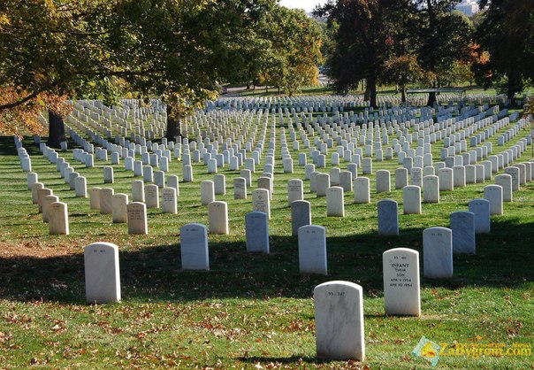 №64, Таня Гунчак, 32 года №64, Таня Гунчак, 32 года