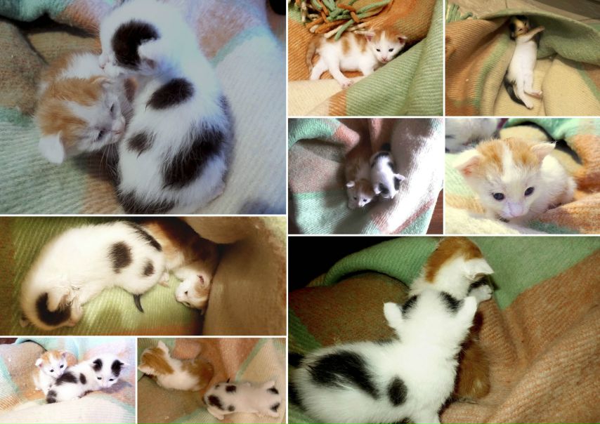 №7, Илья Сергеев, Москва №7, Илья Сергеев, Москва