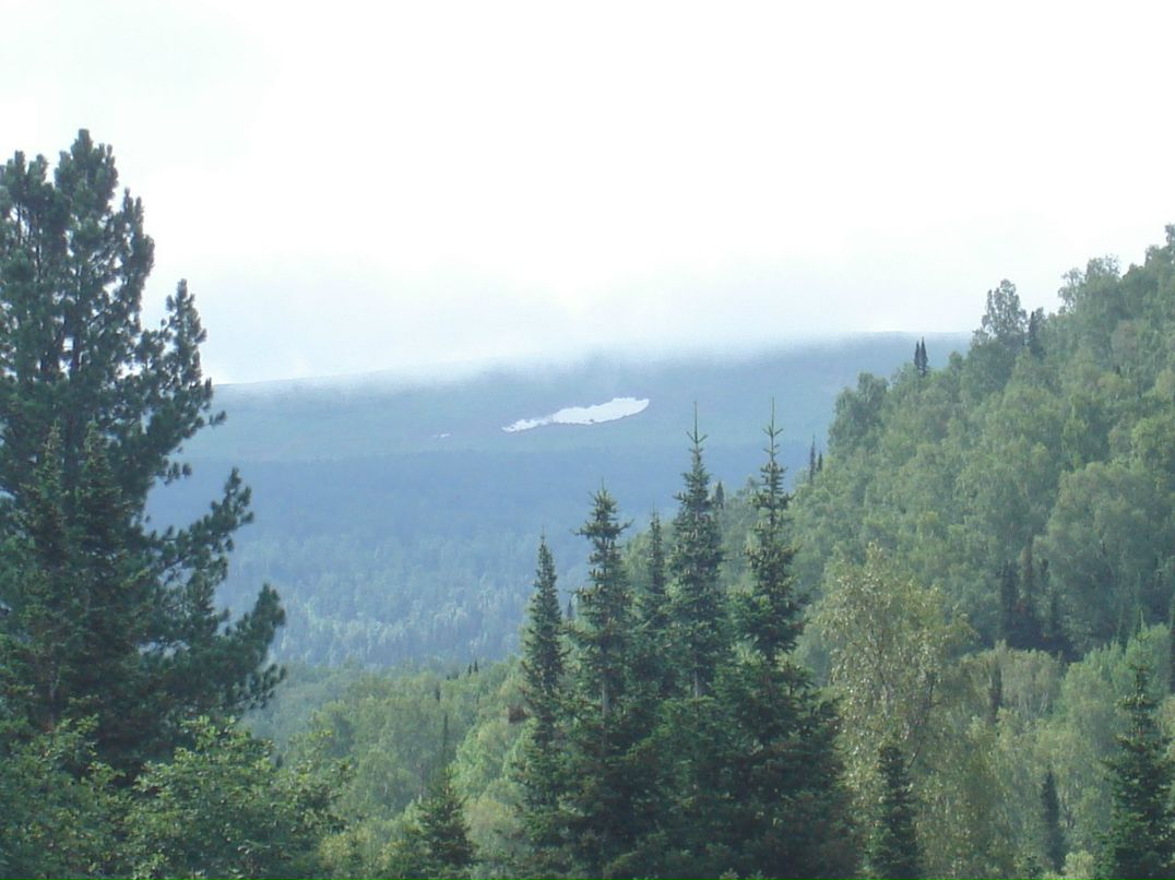 Вячеслав Рощин | 