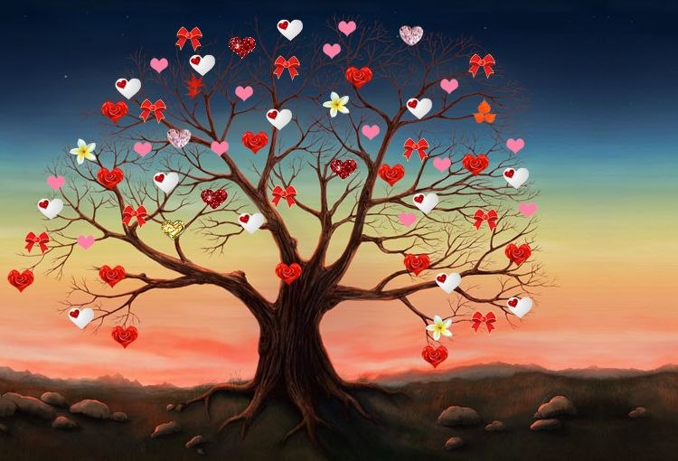 Виктория Шуляк Про100 lady | 