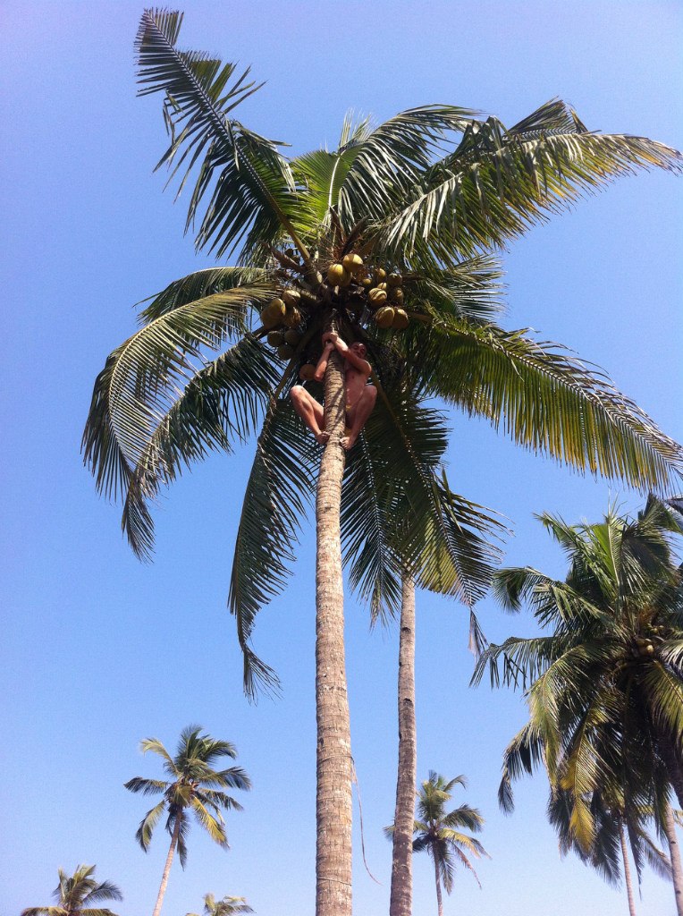 Антон Храпов | Москва