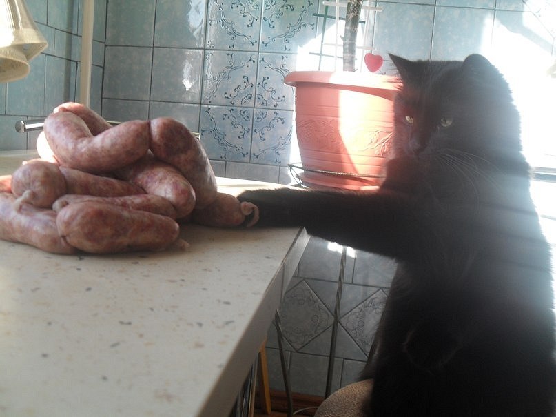 Аркадий Дудкин | Singapore