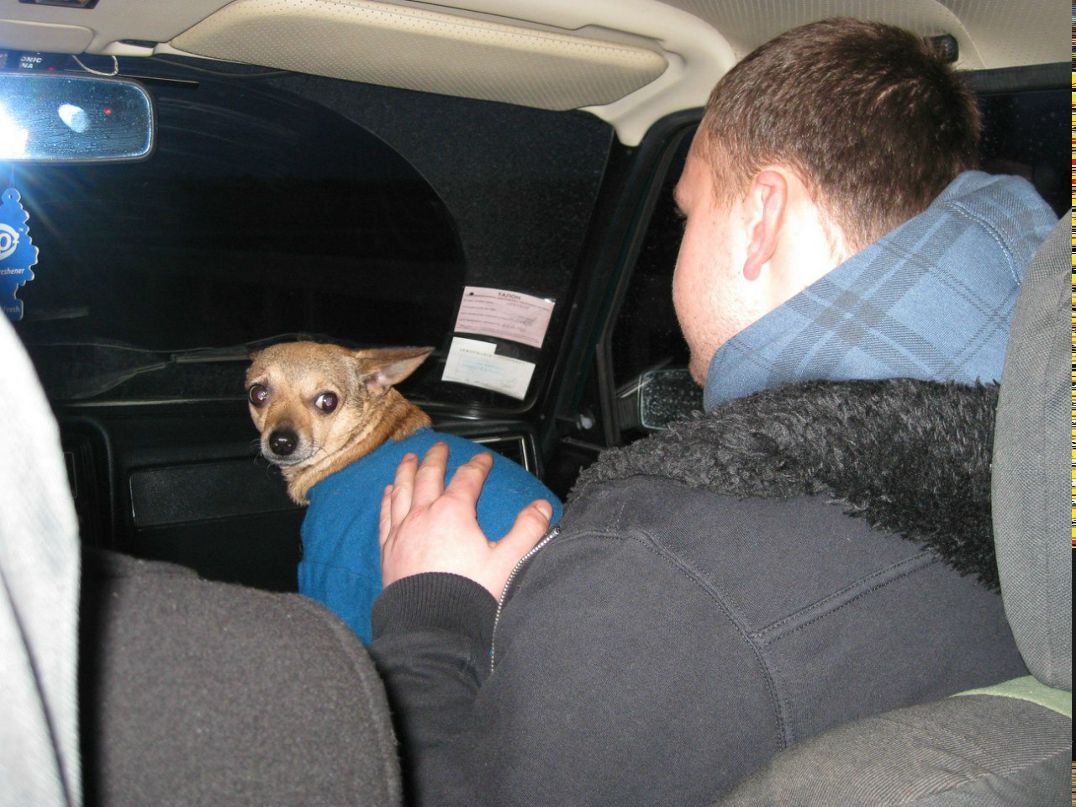 Roman Salahay | Львов