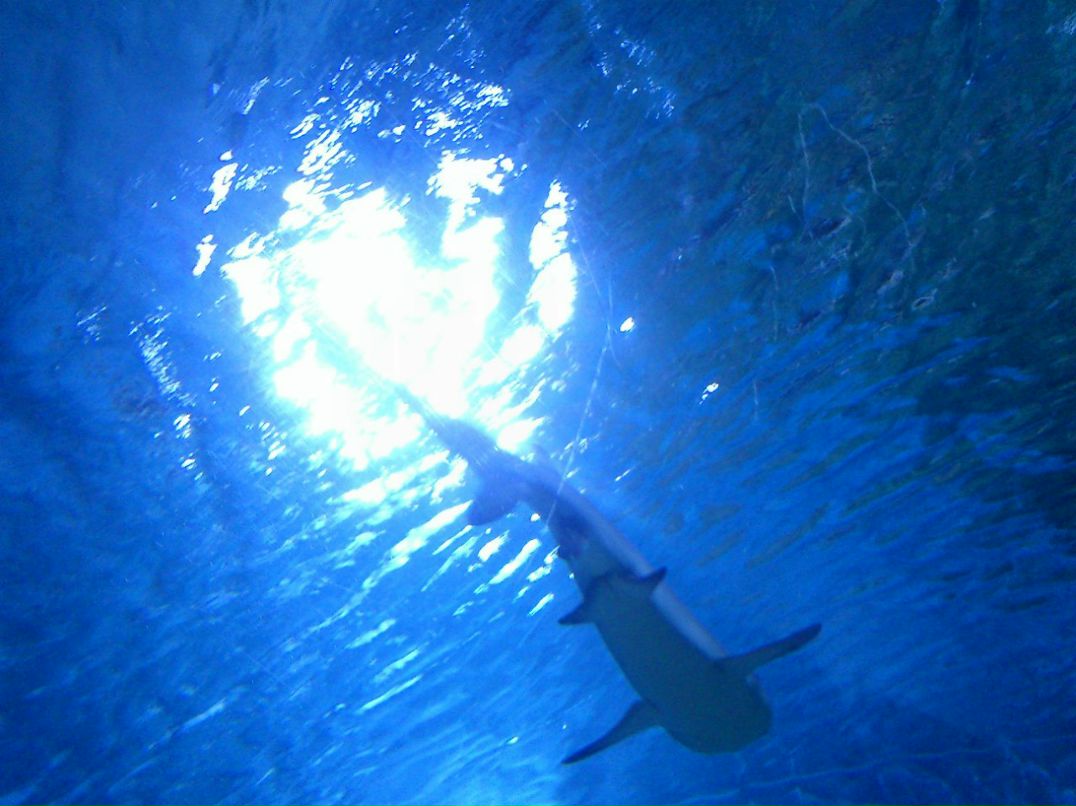 Ольга Смирнова | Ступино