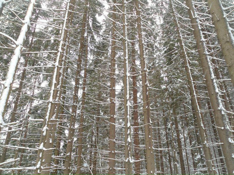 Анастасия Оробей | Киев