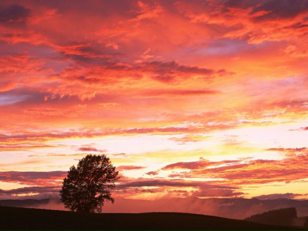 №17, Альберт Тураханов №17, Альберт Тураханов