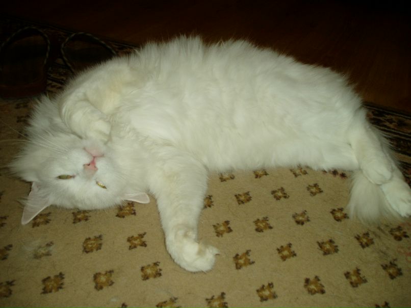 Вика Абрамова | Хотьково