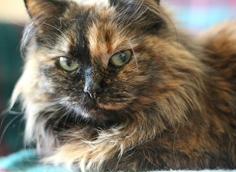 Мотя Норматова ♥ | Санкт-Петербург