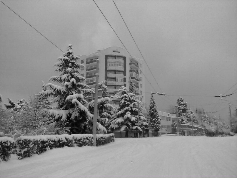 Сергей Мевший | Кривой Рог