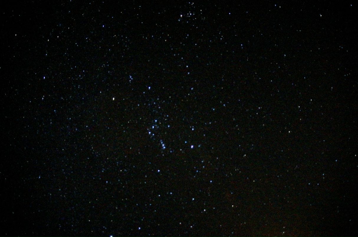 Роман Тункель | 