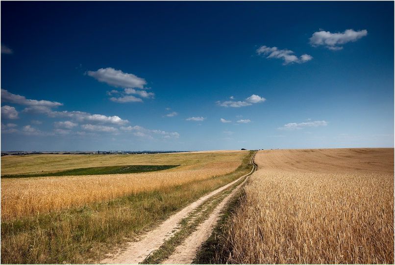 Gena Lazin | Москва