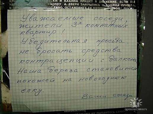 Андрей Куянов | Санкт-Петербург