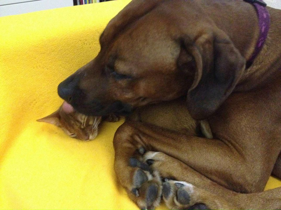 Полено Поляна .ə. Лера | Москва