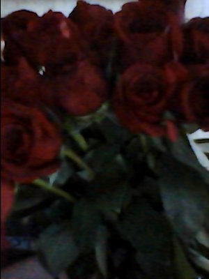 Ольга Логинова | Нарва