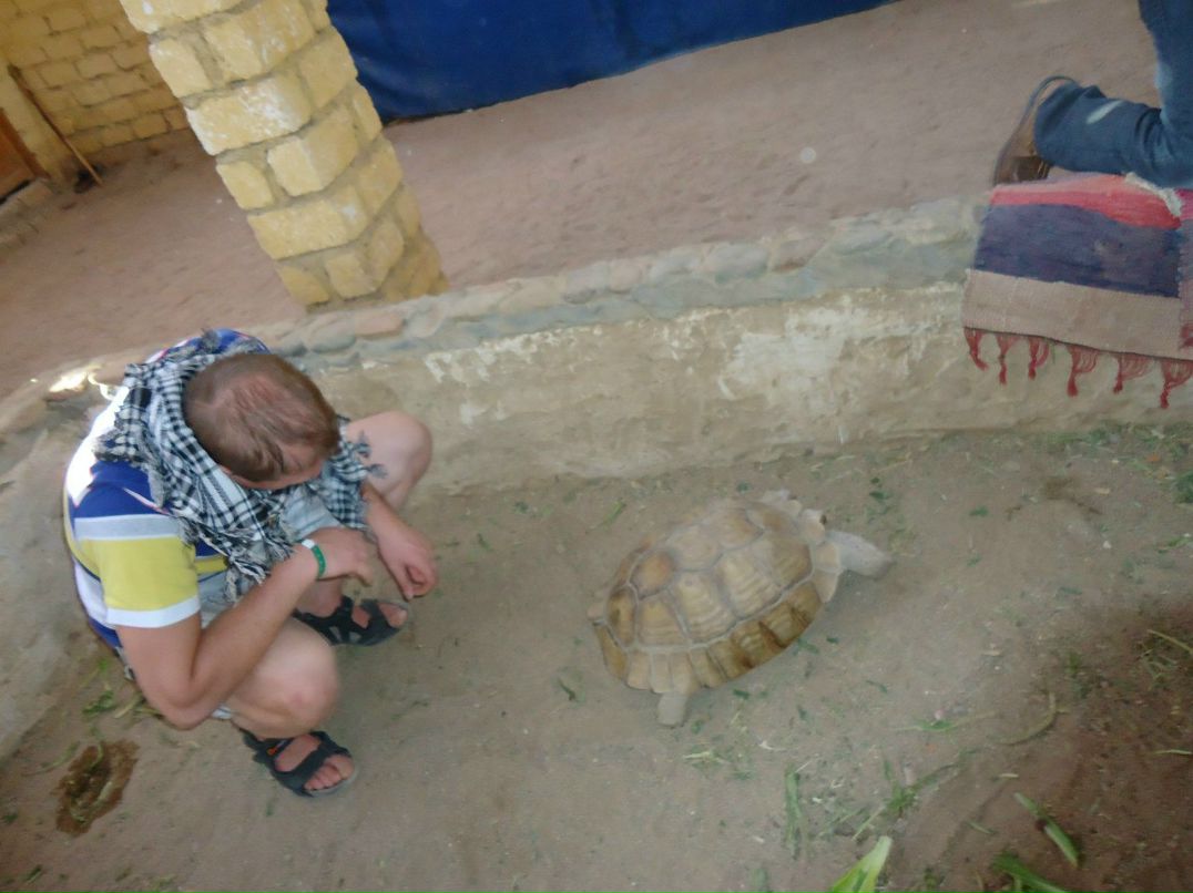 Михаил Шкирта | Санкт-Петербург