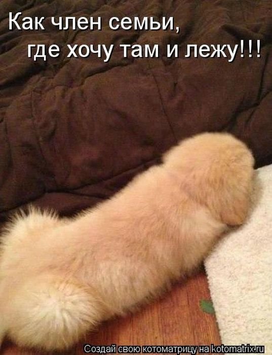 Елена Алексеева | Славянск