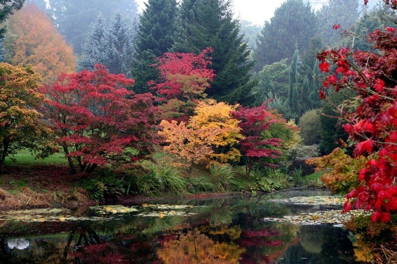 Kirill Kovalchuk | Минск