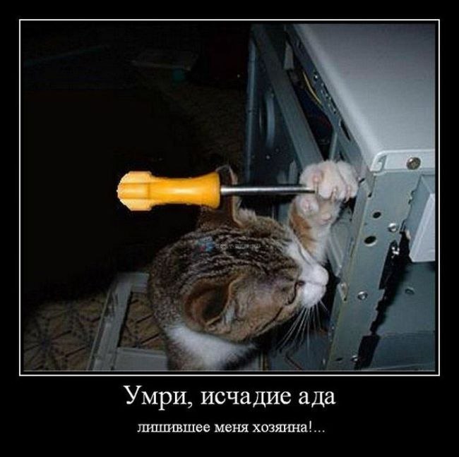 Максим Кожевников ツЕЖЕутренняя Радость ツ | Ижевск