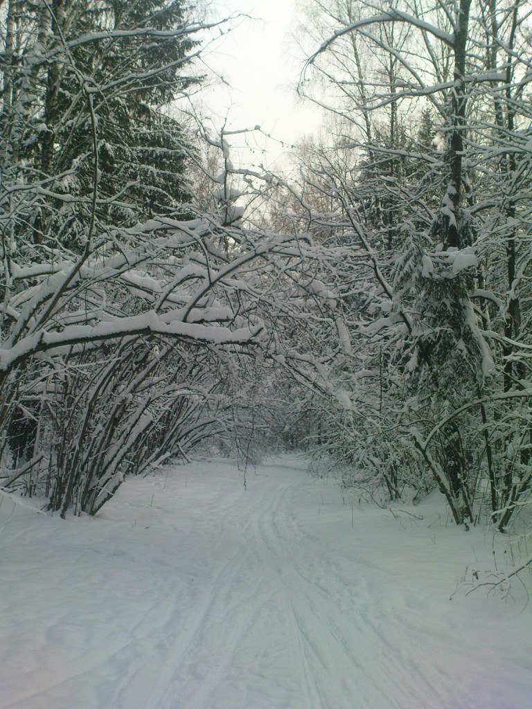 Иван Жучков | Москва