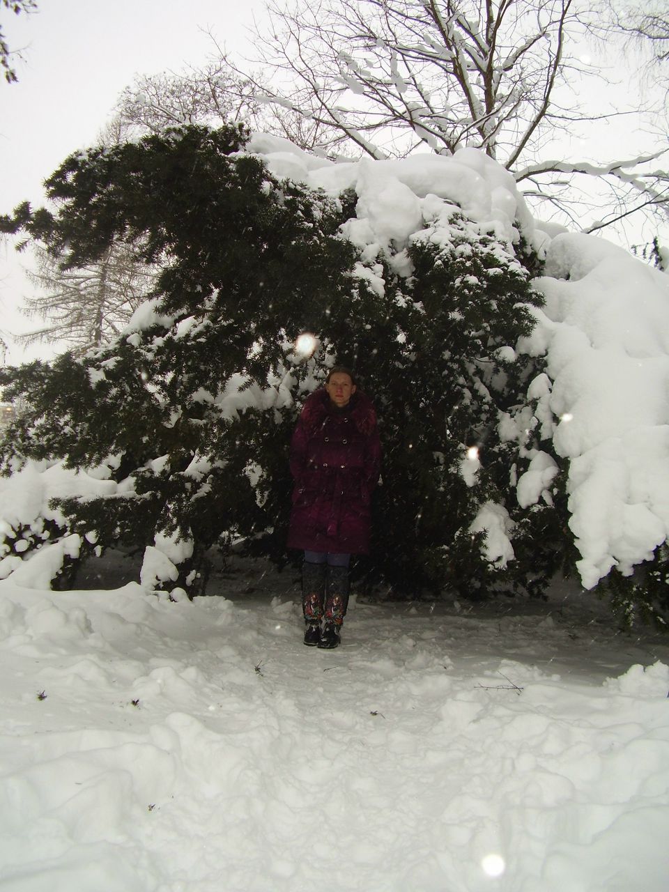 Анна Ольховская | Санкт-Петербург