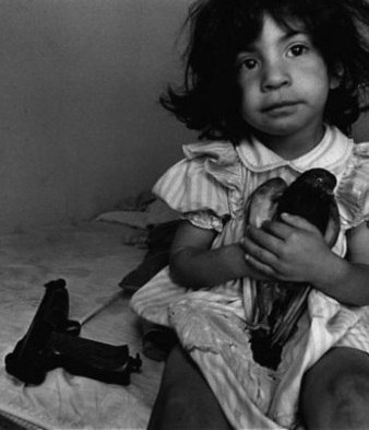 Dmitry Kochetkov | Курск