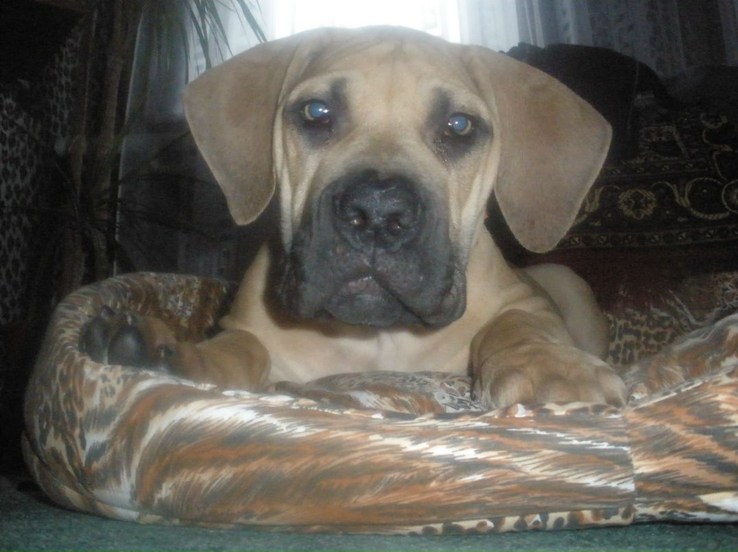 Евгений Ковалёв | Харцызск