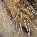 №128, Катенька Молодечая, 02.09.1986, Минск №128, Катенька Молодечая, 02.09.1986, Минск