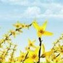 Оксана Бурнакова | Абакан