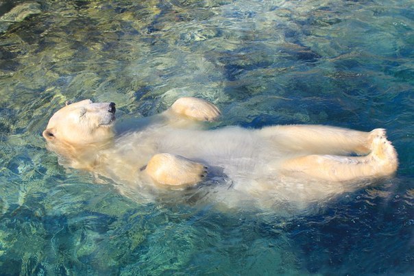 Алексей Иванов | Санкт-Петербург