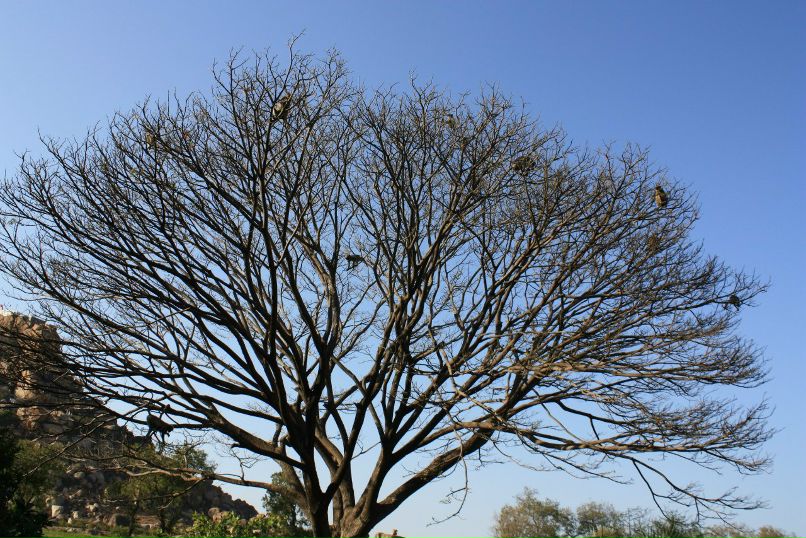 Татьяна Корсакова | Гродно