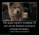 Фотография Анжелика Коваленко
