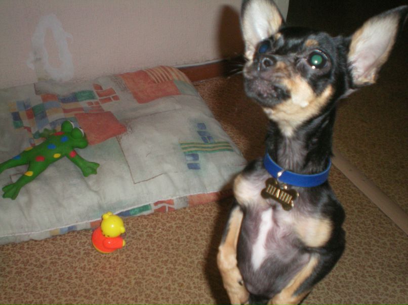 Наталья Демидова | Тюмень