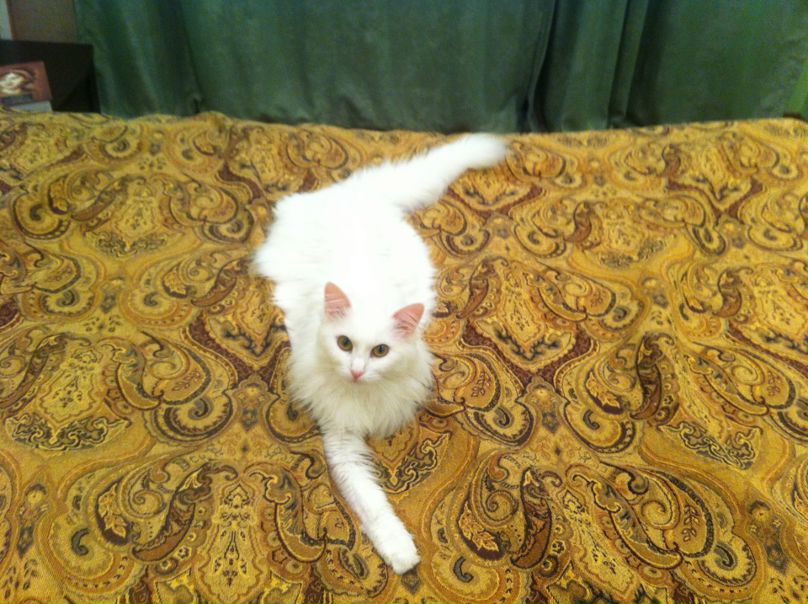 №91, Мария Ксенофонтова №91, Мария Ксенофонтова