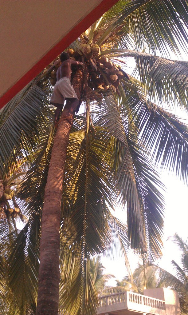 Марина Комарова Violet | Москва