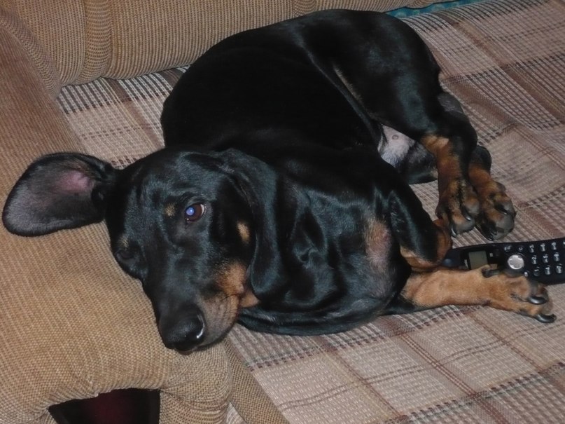 Наталья Ширяева | Снежинск