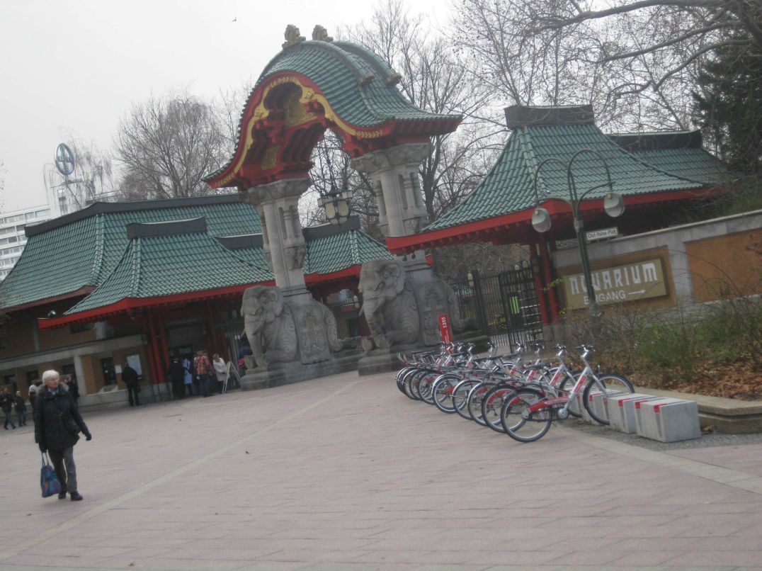 Suren Akopov | Москва