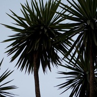 Сергей Морозов