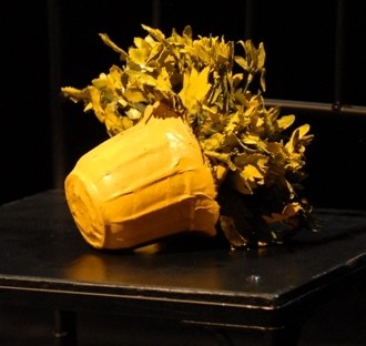 Ирина Князева | Новосибирск