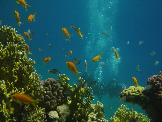 Юлия Задачина | Воронеж