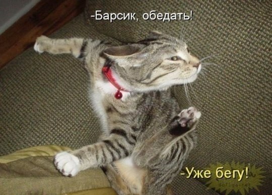 Александр Ребрин | Воронеж