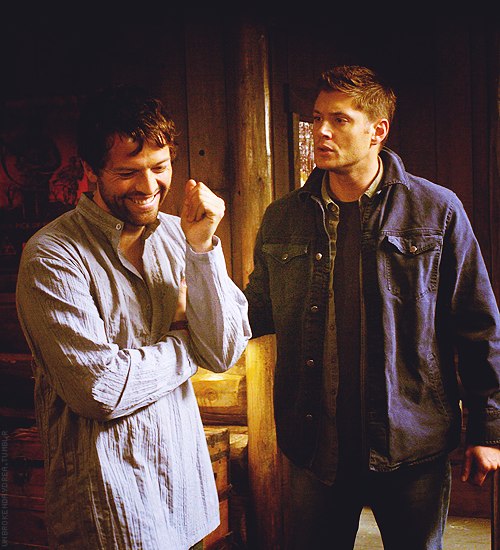 Саша Бердник | 