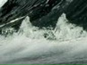 Анна Митрохина | 