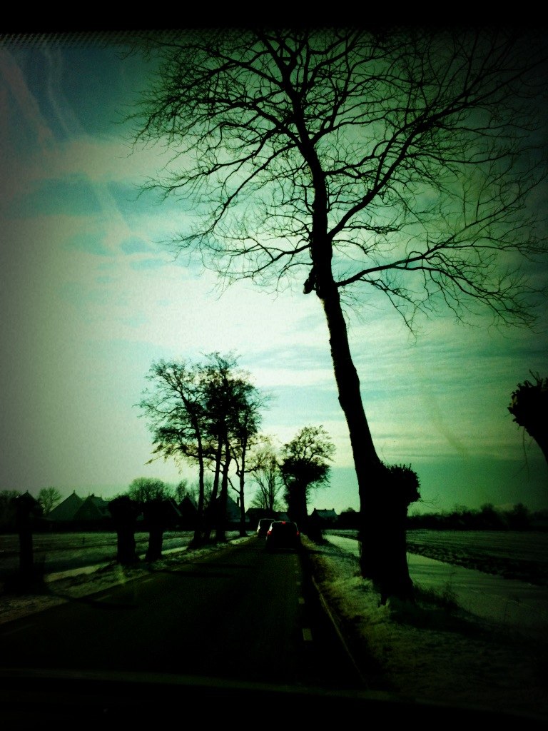 Dasha Torgushnikova | Москва