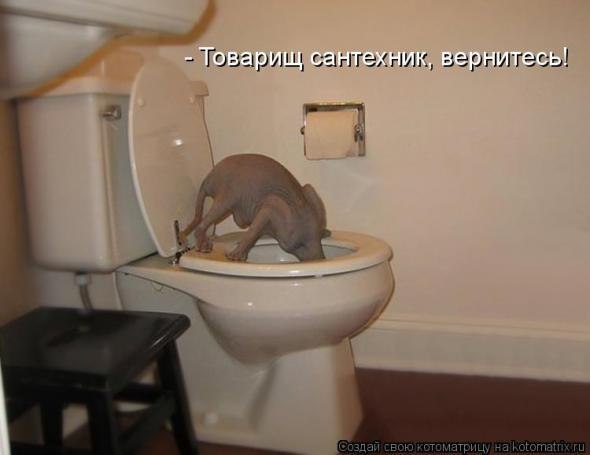 Анна Коротаева | Чехов