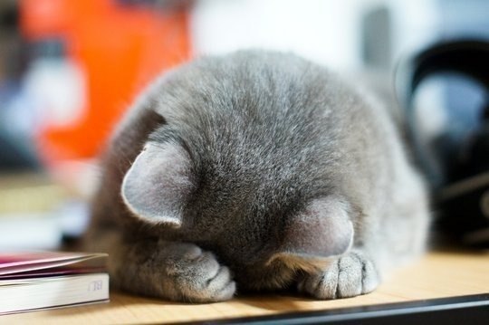 Ирина Тышкевич | Санкт-Петербург